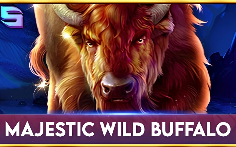 Play the Majestic Wild Buffalo slot on Melbet website.