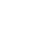 Juventus Football Club
